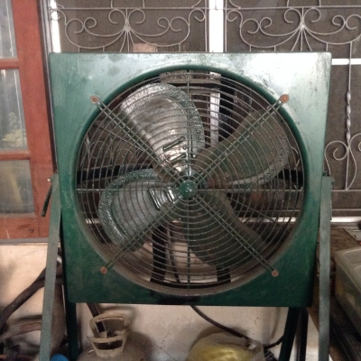 ขายพัดลม