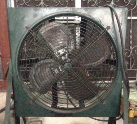 ขายพัดลม