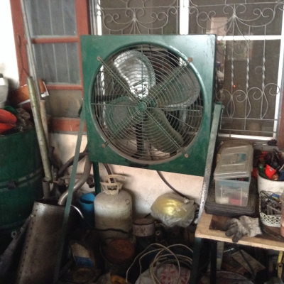 ขายพัดลม