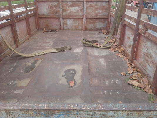 ขาย เหล็กกระบะ6ล้อ (ไม่ดั้ม)