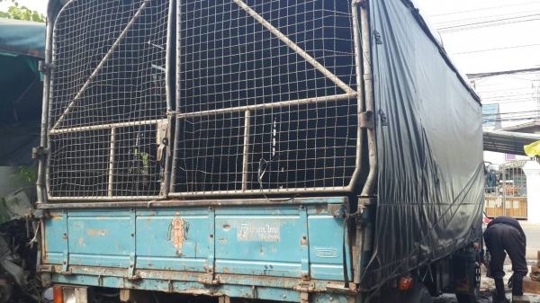 ขาย6ล้ออีซูซุ NPR เครื่อง4BD1ยาว4เมตรกว่าสภาพดียางดีชัชซีสวยมากพร้อมใช้หัวมีผุบ้างเล็กน้อยราคา265000บาท