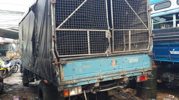 ขาย6ล้ออีซูซุ NPR เครื่อง4BD1ยาว4เมตรกว่าสภาพดียางดีชัชซีสวยมากพร้อมใช้หัวมีผุบ้างเล็กน้อยราคา265000บาท