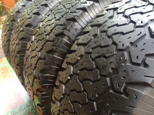 ยาง silverstone at 31 ปี12