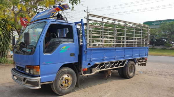 6ล้ออีซุNKR เครือง130 เทอร์โบ พวงมาลัยเพาเวอ พร้อมคอกเหล็ก ทะเบียนเอกสารครบ ราคาต่อลอง