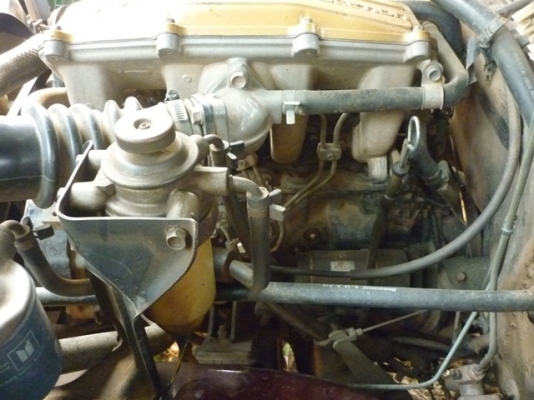 อีซูซุ ทีเอฟอาร์ มังกร 87 ตะเข็บเดิมโรงงาน บางจิงๆ