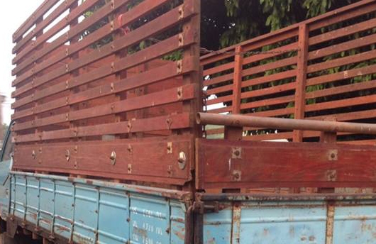 6ล้อบรรทุก ISUZU KS-110 ฝาดำ เกียร์สั้นสาย Fหน้า-หลัง คัสซีดี พ.ธรรมดา กระบะพื้นไม้คอกไม้เกษตร ยาว4.30ม. ยาง8.25/16 พร้อมใช้งาน เล่มฯ ครบ ภาษี1ปี **ขาย ISUZU KS-110 แรง 6ล้อบรรทุก ช่วงล่างใหญ่ พร้อมลุยงาน ISUZU KS 4BE1-110HP ฝาดำ เกี