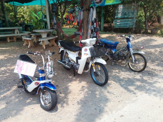 ขาย ดรีมคุรุเครื่องเดิม สตาร์ทได้ 2 ระบบ ไฟหน้า-หลังติด (ไม่ ท.บ. / ออกใบซื้อขายให้จากทางร้าน) ((((( 8,900 บาท ))))) ขาย ดรีมคุรุเครื่องเดิม สตาร์ทได้ 2 ระบบ ไฟหน้า-หลังติด (ไม่ ท.บ. / ออกใบซื้อขายให้จากทางร้าน) ((((( 8,900 บาท )))))