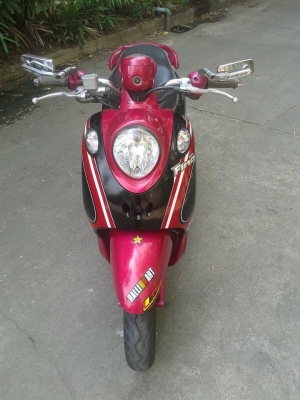 ขายลูกเดียว fino ปี2552 ด่วนๆนะคับ เอกสารครบ ขายลูกเดียว fino ปี2552 ด่วนๆนะคับ เอกสารครบ