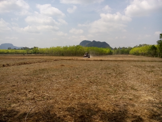 รถไถ่ฟอร์ด 6610  2เพลา  แท้ คานหน้าคาราโร่  (รถห้างแท้)  รถสวย.พร้อมใช้งาน.เล่มพร้อม