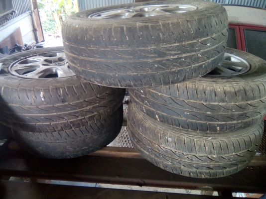 แม็กแคมรี แม็กแคมรี