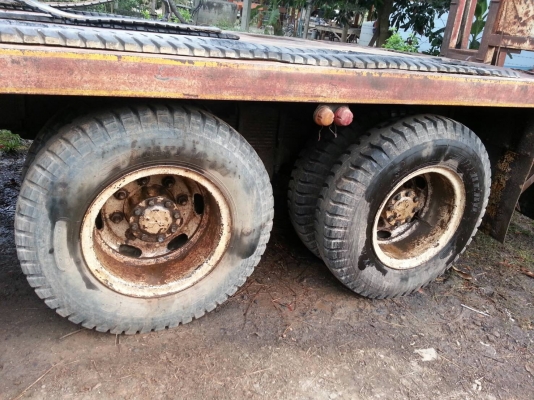 ขายเทเลอร์ขึ้นรถเกี่ยว ไอ้หลง FN527 M-AXXXXXเครื่อง190แรง ขายเทเลอร์ขึ้นรถเกี่ยว ไอ้หลง FN527 M-AXXXXXเครื่อง190แรง