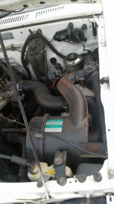 ไมตี้เอ็ก พวงมาลัยเพาเวอร์ ถูกจัด 89,000