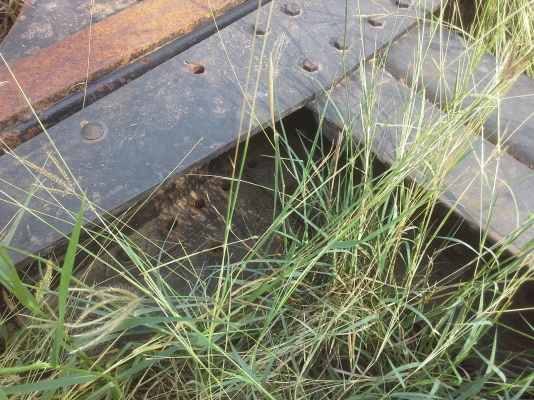 ขาย ครัซซีเปล่าMITSUBISHI TF527 หัวลาก(ไม่มีเล่ม)