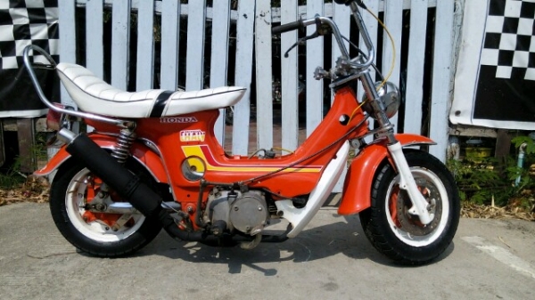 ชาลี ชาลี