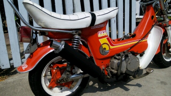 ชาลี ชาลี