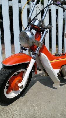 ชาลี ชาลี