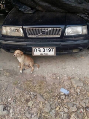 Volvo 460GLT เกียร์ออโต้ (volvo for life) ราคา 50,000.- ขายตามสภาพ แต่ขับได้ดี Volvo 460GLT เกียร์ออโต้ (volvo for life) ราคา 50,000.- ขายตามสภาพ แต่ขับได้ดี