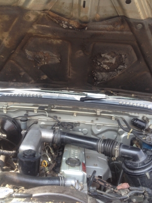 นิสสันฟรอนเทียปี2000 ขายคะหลุดจอง ลูกค้าจัดไม่ผ่านคะ นิสสันฟรอนเทียปี2000 ขายคะหลุดจอง ลูกค้าจัดไม่ผ่านคะ