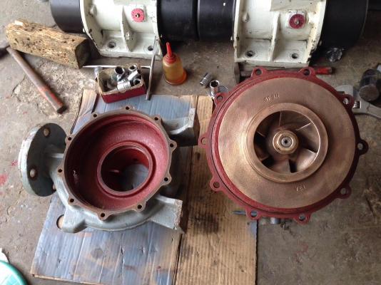 ขายปั้มน้ำหอยโข่ง Ebara 80-65FSH เข้า 3นิ้ว ออก 2.5นิ้ว ใบพัดทองเหลืองเดิมๆ สภาพดี ขนาดใบพัดตามรูปครับ พร้อมใช้งาน