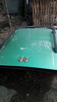 หลังคา แวน วีโก้ หลังคา แวน วีโก้