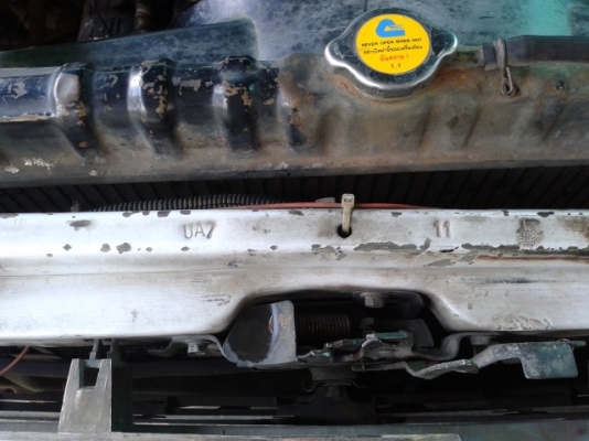 ขายไมตี้ x ช่วงสั้น 4 ขอ