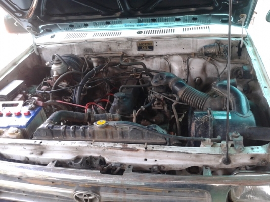 ขายไมตี้ x ช่วงสั้น 4 ขอ