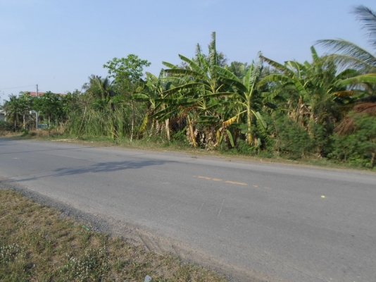 ขายด่วน ที่ดิน ถนนคู้คลองสิบ หนองจอก กรุงเทพฯ ขายด่วน ที่ดิน ถนนคู้คลองสิบ หนองจอก กรุงเทพฯ
