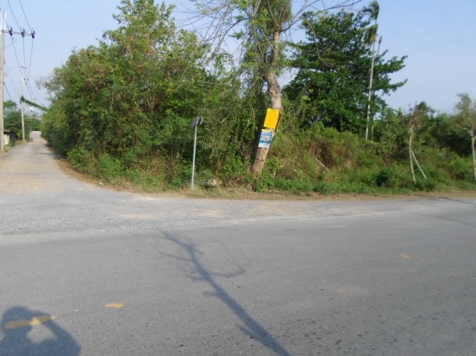 ขายด่วน ที่ดิน ถนนคู้คลองสิบ หนองจอก กรุงเทพฯ