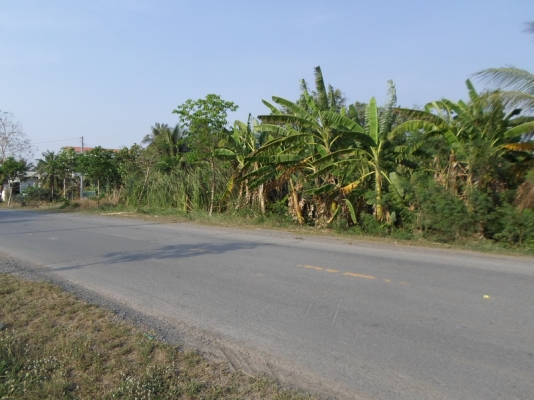 ขายด่วน ที่ดิน ถนนคู้คลองสิบ หนองจอก กรุงเทพฯ ขายด่วน ที่ดิน ถนนคู้คลองสิบ หนองจอก กรุงเทพฯ