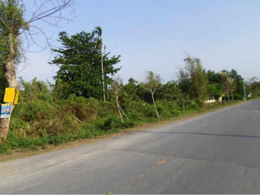 ขายด่วน ที่ดิน ถนนคู้คลองสิบ หนองจอก กรุงเทพฯ ขายด่วน ที่ดิน ถนนคู้คลองสิบ หนองจอก กรุงเทพฯ