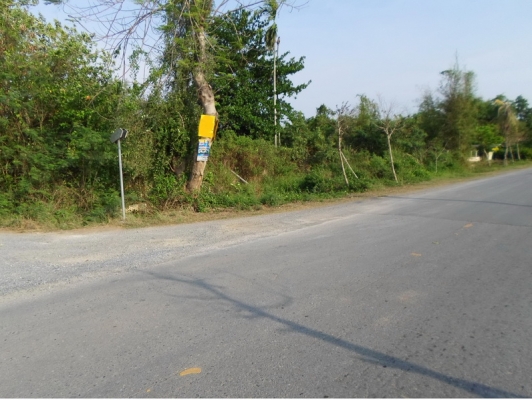 ขายด่วน ที่ดิน ถนนคู้คลองสิบ หนองจอก กรุงเทพฯ ขายด่วน ที่ดิน ถนนคู้คลองสิบ หนองจอก กรุงเทพฯ