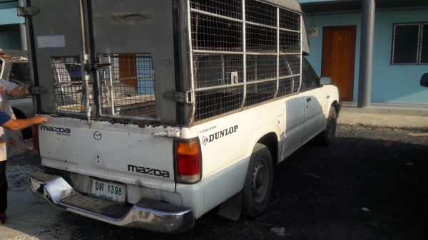 ขายกะบะตอนเดียว มาสด้า ดีเซลมังกรดำ เครื่องดี