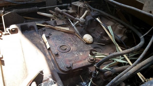 **1,300,000 บ.ต่อรอง/// 10ล้อ2เพลา ISUZU ROCKY FXZ-240 (K) พ่วงแม่+ลูกดั้ม เครื่อง/เกียร์ เดิม แน่น แรงดี ช่วงล่างเดิม คัสซีสวย เดิมๆ ไม่ดาม ไม่บวม หัวสวยภายในสวย ครบ พาวเวอร์/ทริฟฟี่/แอร์ กระบะดั้มเกษตร ดั้มชลบุรี สภาพเดิมๆ ลูก2คานดั้มเหล็กเกษตร BJM.บรรจ