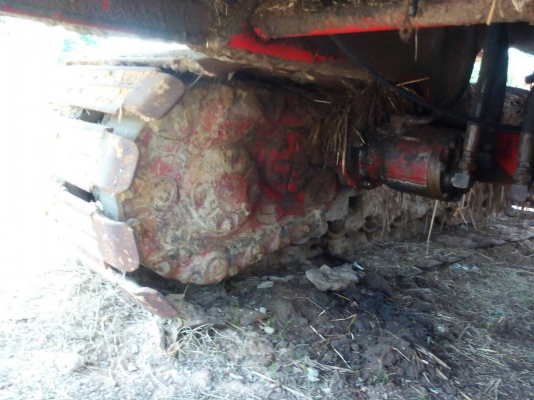 ขายศักดิ์พัฒนา