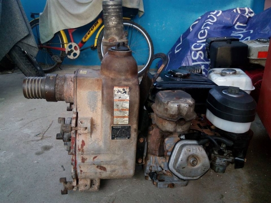 ขายเครื่องสูบน้ำ wacker usa