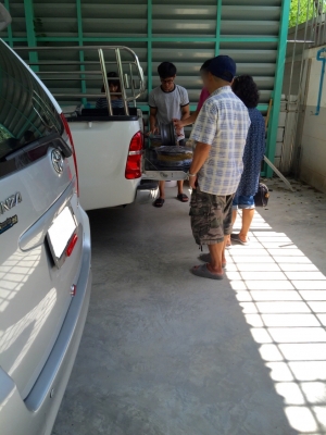 ขายแม็กซ์ MIRA L500 ขอบ 13" 4 รู 110 กว้าง 4.5" ญี่ปุ่นแท้ ขายแม็กซ์ MIRA L500 ขอบ 13" 4 รู 110 กว้าง 4.5" ญี่ปุ่นแท้