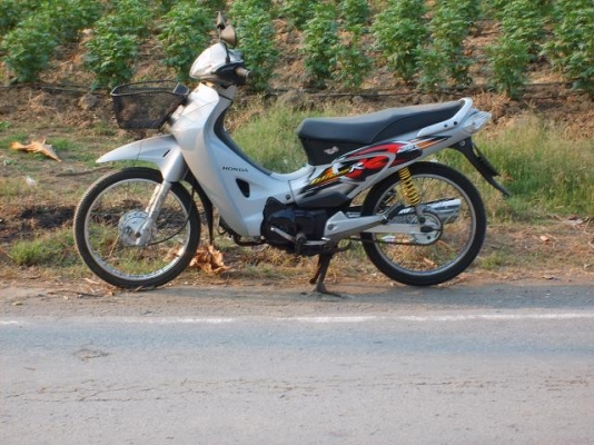 Honda wave 125 ปี 46 (gray)