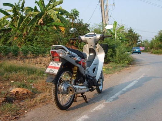 Honda wave 125 ปี 46 (gray)
