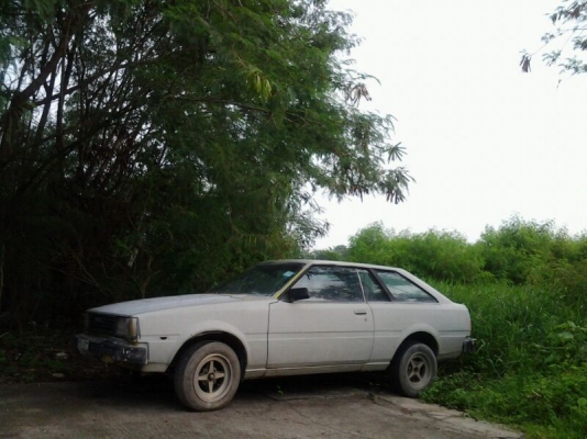 ขาย โต้โยต้า 2 ประตู te 71 ราคา    35000