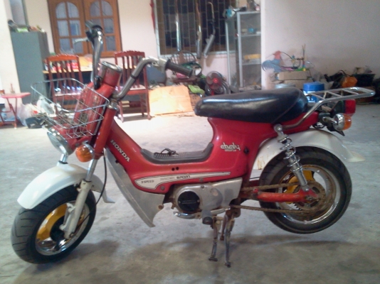 ขาย ชาลีเครื่องดี พร้อมซิ่ง 12500