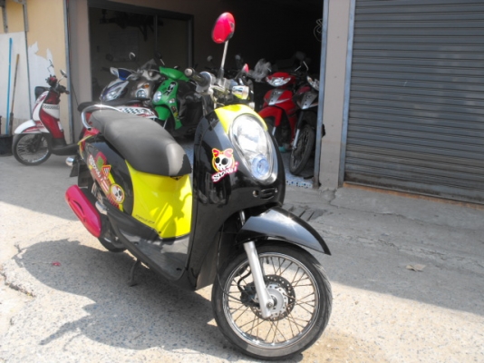 ขาย Scoopies I ปี55