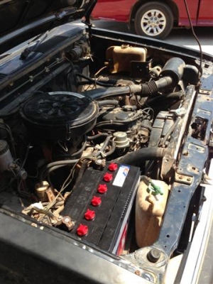 เสี่ยน้อยโคราช จองแล้ว ครับขอบคุณทุกท่านที่โทรถามครับ ขอบคุณพี่เสือครับ เสี่ยน้อยโคราช จองแล้ว ครับขอบคุณทุกท่านที่โทรถามครับ ขอบคุณพี่เสือครับ