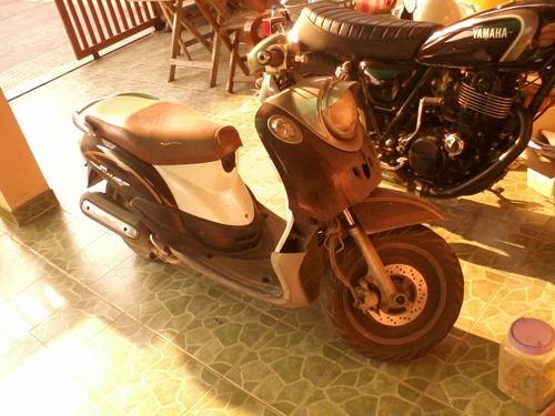 Fino แท้ๆ ตัวแรก ล้อตันขอบ 12 ขาย 10,000 บาท (โปรดอ่านรายละเอียดด้านใน)