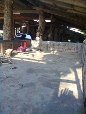 ขายรถ ISUZU NKR 6ล้อช่วงยาวปี33 ทะเยียน ม 79 ยางดีคัซซีสวยพร้อมใช้งาน