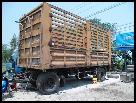 ลูกพ่วง ไม่ดั้ม สวยๆ