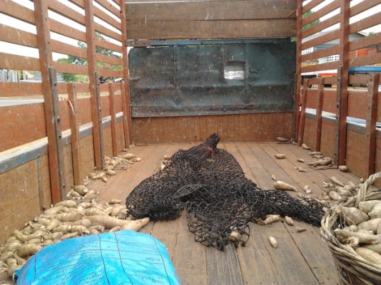 ***ขายแล้วครับขอบคุณ Truck2hand ขาย 6ล้อ ISUZU 115 ประกอบ NPR59L สภาพเดิมๆบางๆ เครื่อง4BD1 115 แรง แห้งจริง ไม่มีหลวม ช่วงล่างเดิมคัสซีสวยไม่มีผุไม่บวมไม่ดาม วางเหล็กเสริมบนแข็งแรง กระบะ4.30ม.พื้นไม้คอกไม้สูง ไม่ผุไม่หัก ยาง7.50ดี6เส้น ภายในดีคอนโซลครบ พร