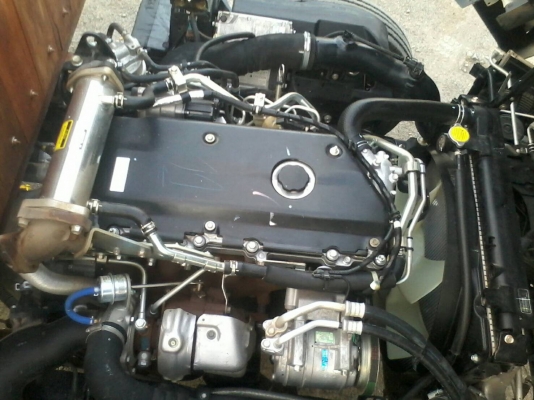 ขายNPR150หัวตึกยูโร3ปี56กระบะคาร์โก้5เมตรไมล์3หมื่นกว่ารถสดมากๆครับ ขายNPR150หัวตึกยูโร3ปี56กระบะคาร์โก้5เมตรไมล์3หมื่นกว่ารถสดมากๆครับ