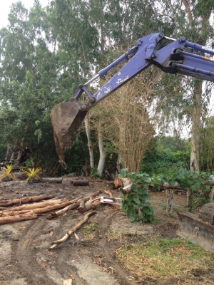 ขายรถแบ็คโฮ Komatsu PC128uu ไฟฟ้าครบ แอร์พร้อม เอกสารอินวอยซ์ รถทำงานอยู่ พร้อมใช้งานค่ะ ขายรถแบ็คโฮ Komatsu PC128uu ไฟฟ้าครบ แอร์พร้อม เอกสารอินวอยซ์ รถทำงานอยู่ พร้อมใช้งานค่ะ