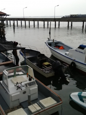 ขายเรือไฟเบอร์17ฟุตพร้อมเครื่อง90แรง