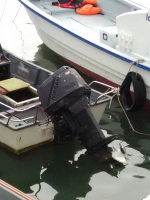 ขายเรือไฟเบอร์17ฟุตพร้อมเครื่อง90แรง